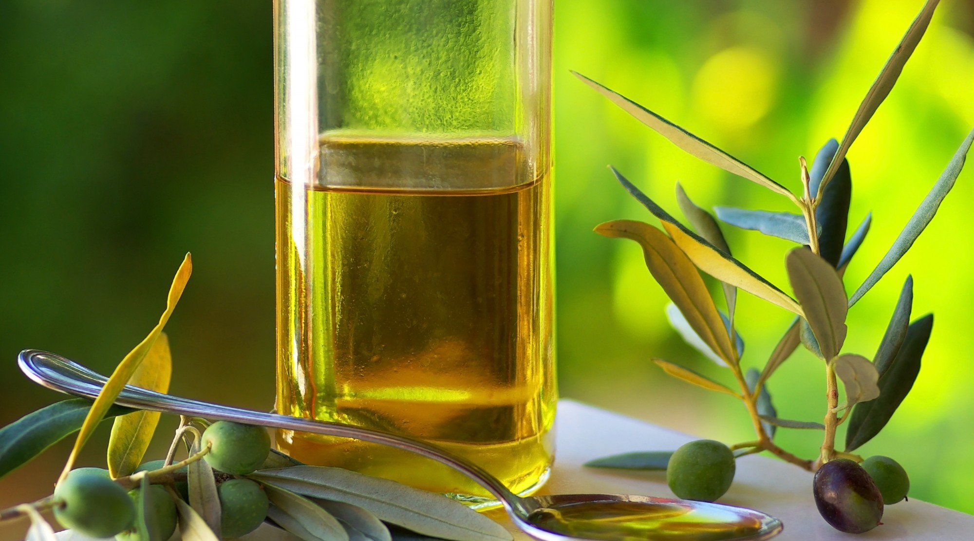 Tahsildaroğlu peynirden zeytinyağına geçiyor